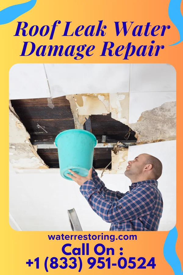 Roof Leak Water Damage Repair in Altona, IN